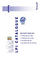 GIẢI PHÁP TRỌN GÓI: • Chống sét trực tiếp • Chống sét lan truyền