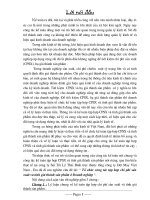 Tổ chức công tác tập hợp chi phí sản xuất và tính giá thành sản phẩm ở Doanh nghiệp.DOC