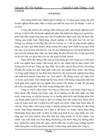 Hoàn thiện công nghệ marketing xúc tiến thương mại công ty hóa dầu Petrolimex.pdf