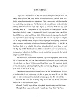 Tổ chức công tác kế toán thành phẩm tại công ty Châu Thành.doc