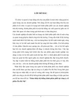 Hoàn thiện hệ thống kênh phân phối tại công ty cổ phần Pin Hà Nội