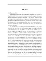 Giải pháp thúc đẩy xuất khẩu hàng hóa của Việt Nam sang thị trường Hoa Kỳ trong điều kiện hội nhập kinh tế quốc tế”.docx