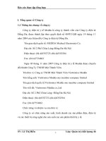 Báo cáo tổng hợp tại Công ty điện tử Đống Đa.DOC