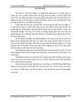 Kế toán bán hàng và xác định kết quả bán hàng ở Công ty TNHH Thương Mại Đông Phong.DOC