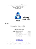Vitamin tan trong nước 