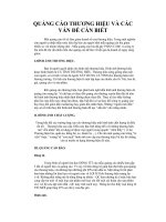  Quảng cáo thương hiệu và các vấn đề cần biết 