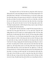 Một số giải pháp khắc phục hạn chế công tác quản lý các đại lý bảo hiểm nhân thọ của Dai-ichi Việt Nam.docx