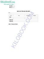  Báo cáo tồn kho đầu năm