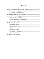 Hoạt động của Công ty TNHH May Nam Sơn.docx