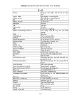 Thuật ngữ hàng hải - P