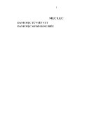 Hoàn thiện kế toán tiêu thụ hàng hóa và xác định kết quả tiêu thụ hàng hóa tại Công Ty Cổ Phần Thế Giới Máy Tính.DOC