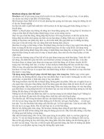 Brochure công ty, làm thế nào? 