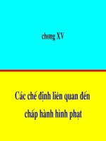 Các chế định liên quan đến chấp nhận hình phạt