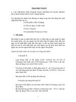 Các phương tiện thanh toán thường sử dụng trong mua bán hàng hoá xuất nhập khẩu