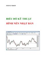Biểu đồ kỹ thuật hình nến Nhật Bản