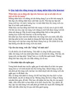 Quy luật tên riêng trong xây dựng nhãn hiệu trên Internet