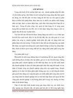 Kênh phân phối trong bán hàng b2c.doc