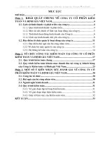 Báo cáo thực tập Tại Công ty CP Kiểm toán và định giá VN