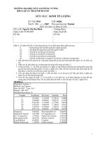 Các Đề thi kinh tế lượng có lời giải - Đề 3