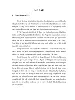 Góp phần nghiên cứu tính đa hình của nhông cát Leiolepis belliana guttata Cuvier ở Thừa Thiên Huế