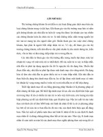 Ứng dụng định giá cổ phiếu nhờ mô hình SIM và APT vào xây dựng danh mục đầu tư và áp dụng tại BSC.DOC