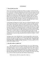 Công tác quản lý dự án tại Công ty cổ phần xây dựng Vinaconex-1.doc