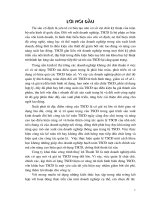 Hạch toán tài sản cố định hữu hình tại Công ty Khai thác công trình thuỷ lợi Thanh Trì.DOC