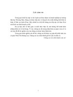 Xây dựng mô hình dự báo cầu về sản phẩm sữa bột của vinamilk.docx