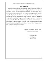  Thiết kế hệ thống truyền động thủy lực trong xe nâng đẩy hàng