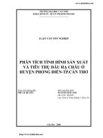 Phân tích tình hình sản xuất và tiêu thụ dâu Hạ Châu ở huyện Phong Điền – TP.Cần Thơ.pdf