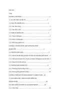 Phân tích về  hiệu quả hoạt động kinh doanh của công ty Cỏ May.docx