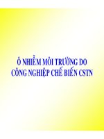 Công nghệ cao su - P8