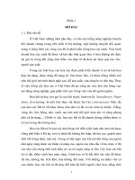 Nghiên cứu kỹ thuật trồng nấm Linh chi đỏ (Ganoderma Lucidum) trên mạt cưa cao su