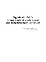 Nguồn tài chính trong nước và nước ngoài cho tăng trưởng ở Việt Nam.pdf