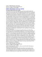 Phân tích báo cáo tài chính