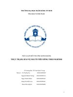 Thực trạng bảo vệ người tiêu dùng theo ngành.pdf
