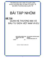 Quan hệ thương mại và đầu tư giữa việt nam và eu.doc