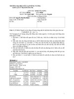 Các Đề thi kinh tế lượng có lời giải - Đề 2