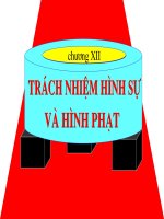 Trách nhiệm hình sự và hình phạt