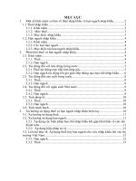 Xu hướng sử dụng thuế và hạn ngạch nhập khẩu hiện nay.doc