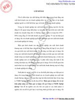 Hiệu quả sử dụng vốn và các biện pháp nâng cao hiệu quả sử dụng vốn tại Công ty TNHH Nghiệp Quảng.pdf