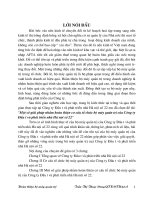 Một số giải pháp nhằm hoàn thiện cơ cấu tổ chức bộ máy quản trị của Công ty Đầu tư và phát triển nhà Hà nội số 22.doc