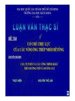Cơ chế chịu lực của cầu vòm ống thép nhồi bê tông