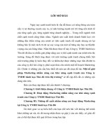 Một số giải pháp Marketing nhằm nâng cao khả năng cạnh tranh của Công ty TNHH bánh kẹo Thủ đô trên thị trường