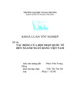 Tác động của hội nhập quốc tế đến ngành ngân hàng việt nam.doc