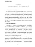 Thương mại điện tử và thực trạng, giải pháp ở việt nam.doc