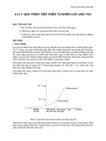 Quá trình tiến triển tự nhiên của ung thư