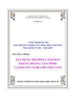 Nghiên cứu kinh điển và các mô hình cảnh báo khủng hoảng tài chính.doc
