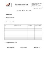 Mẫu Chương trình thực tập