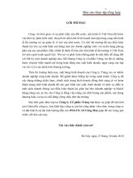 báo cáo tổng hợp về tình hình săn xuất kinh doanh của công ty bánh kẹo tràng an